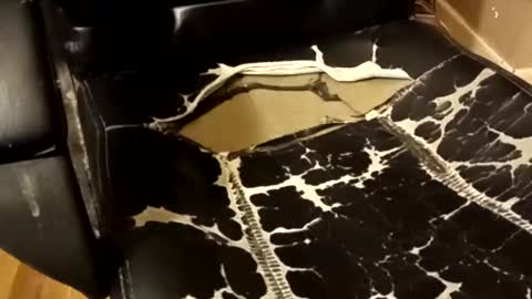 Snapshot of brian0169 chatting on December 2025 01:33:01 AM BB online show from December 2025 01:33:01 AM