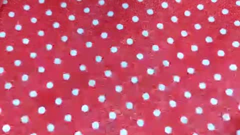 brianriver online show from September 2025 08:49:02 AM