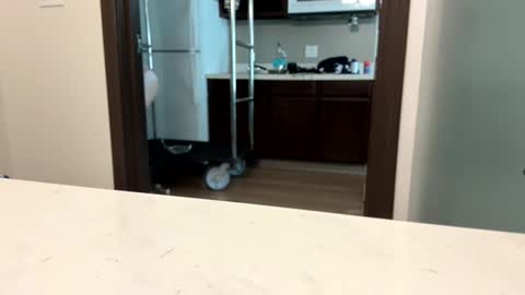 Snapshot of brickmeup chatting on April 2026 10:32:01 PM brickmeup online show from April 2026 10:32:01 PM