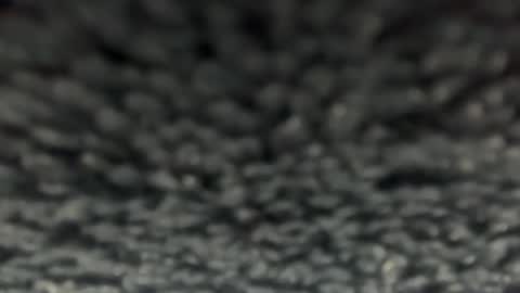 Breille Bella online show from November 2025 04:44:01 AM