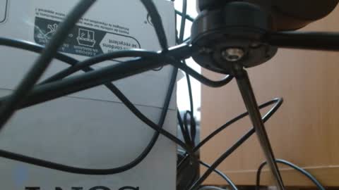 brigittebia777 online show from October 2025 03:38:01 AM