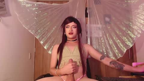 Brilla Mettal online show from January 2025 08:54:02 AM