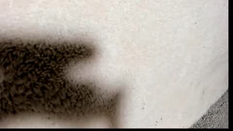 brockhurn_ online show from September 2025 02:00:02 AM