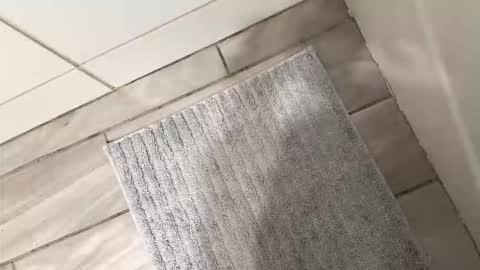 brownboyli online show from March 2026 03:09:01 AM