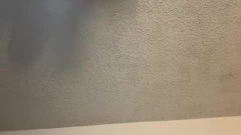 Snapshot of brownsugar0910 chatting on February 2025 03:50:02 AM EtherealLilac online show from February 2025 03:50:02 AM