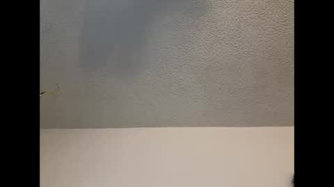 Snapshot of brownsugar0910 chatting on February 2025 09:56:02 PM EtherealLilac online show from February 2025 09:56:02 PM