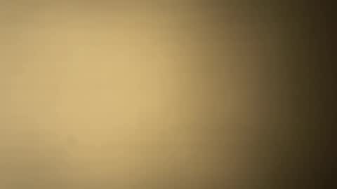 BRUCE online show from December 2024 01:25:01 AM