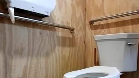 brumski4200 online show from January 2026 09:03:02 AM