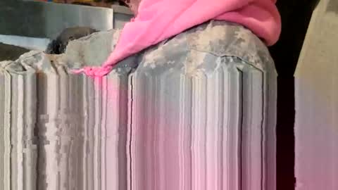 Snapshot of brushsquach chatting on March 2026 08:59:01 PM Steve... aka SkinnieDippin aka TimberTramp online show from March 2026 08:59:01 PM