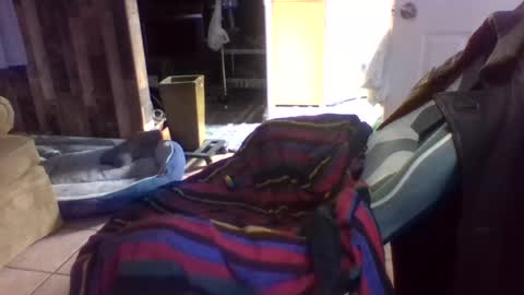 brutal3anddone online show from October 2025 05:14:02 PM