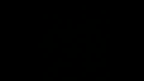 BryN online show from December 2024 12:29:01 AM