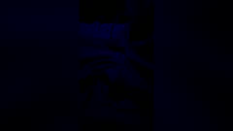 Snapshot of bubbleboy04602 chatting on June 2026 06:05:01 AM bubbleboy04602 online show from June 2026 06:05:01 AM