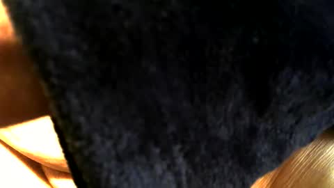 Snapshot of buck_shot chatting on March 2026 03:40:01 PM Buck online show from March 2026 03:40:01 PM