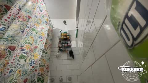 bukkakebae online show from September 2025 08:20:02 PM