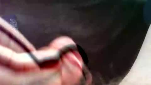 bullemoe online show from September 2025 02:51:01 PM