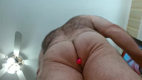 Snapshot of bullmusclejoe chatting on September 2025 07:03:02 PM BullMuscleJoe online show from September 2025 07:03:02 PM