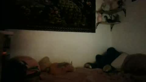 bunn13cat online show from March 2026 12:52:01 PM