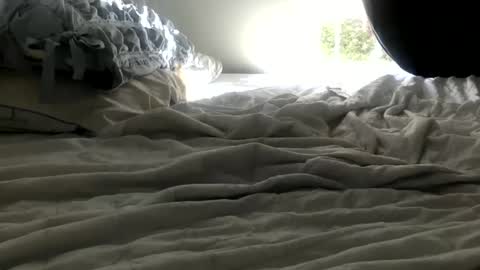 bunny286025 online show from February 2025 05:18:02 PM