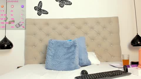 bunny online show from December 2024 04:21:01 PM