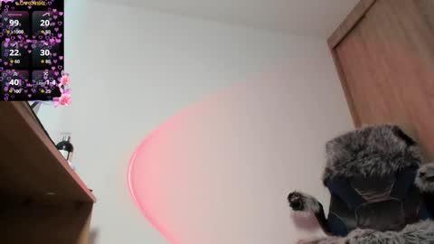 Sammy online show from October 2025 02:24:01 PM