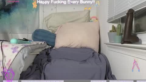 Snapshot of bunnycheekz chatting on December 2024 11:24:02 PM Tokki bunny online show from December 2024 11:24:02 PM