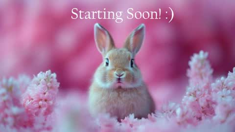 Stella online show from May 2026 10:05:02 PM
