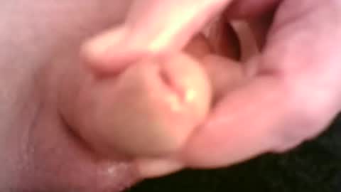 Hamish online show from January 2025 07:16:02 PM