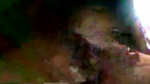 burro3000 online show from December 2024 04:43:02 AM