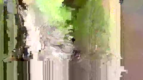 bxbomber2012 online show from April 2026 08:00:02 PM