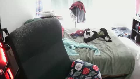 bxbydior online show from December 2025 07:53:02 PM