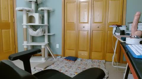 bxdieelatina online show from November 2025 06:39:01 PM