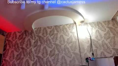 Snapshot of cactusjames_69 chatting on December 2025 11:30:02 AM James online show from December 2025 11:30:02 AM