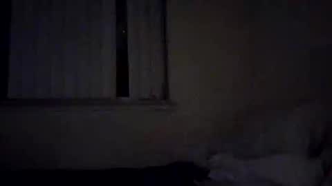 caga_palos online show from February 2026 04:31:01 AM