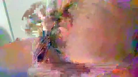 Teddy online show from December 2024 04:53:02 PM