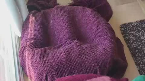 Caked Up online show from March 2026 12:26:01 AM