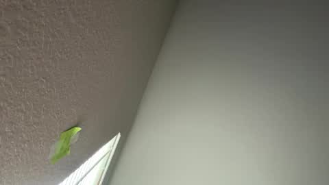 cakedupmothman online show from May 2026 06:02:02 PM