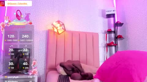 Calanthe  online show from February 2026 06:40:02 AM