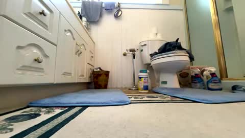 Cal online show from October 2025 06:16:02 PM