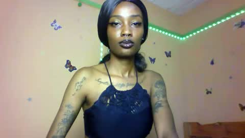 calin online show from November 2025 10:15:01 AM