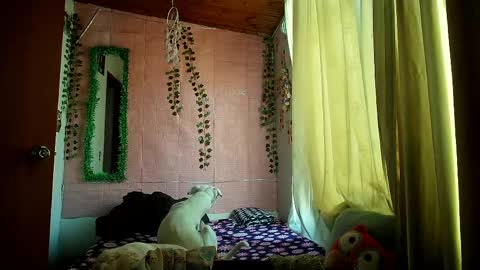 paula online show from March 2026 09:54:02 PM