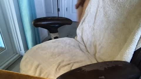 Snapshot of cals16 chatting on March 2026 03:59:01 PM cals16 online show from March 2026 03:59:01 PM