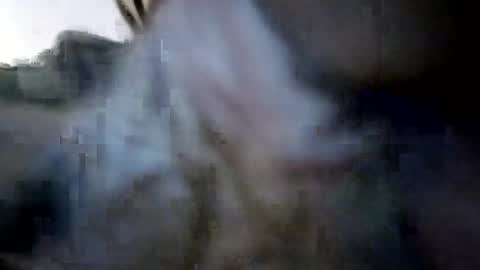 Calvindadun online show from August 2026 08:52:01 AM