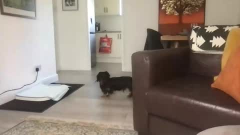 CamDoAttitude online show from September 2025 11:46:02 AM