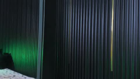 CAMERON online show from February 2025 09:02:01 AM