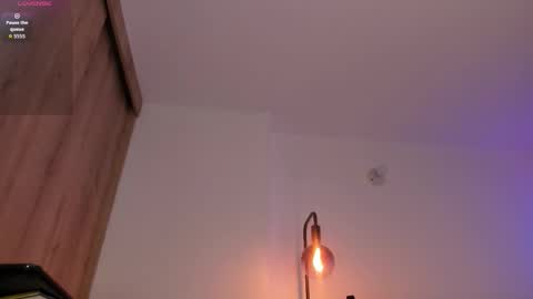 Snapshot of cameron_lyra chatting on November 2025 01:49:01 AM Cameron online show from November 2025 01:49:01 AM