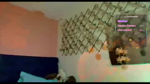 trini-1000 online show from June 2026 02:57:01 AM