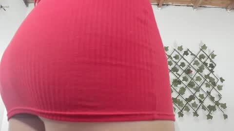 camihotboobs online show from January 2025 07:43:01 PM