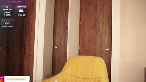 Snapshot of camilagomezz chatting on February 2025 02:44:02 AM Camila online show from February 2025 02:44:02 AM