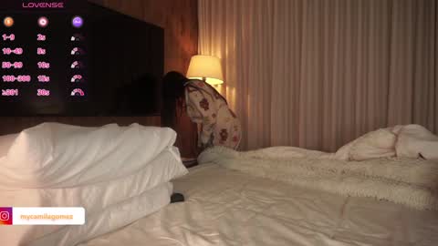 Snapshot of camilagomezz chatting on March 2025 01:47:01 AM Camila online show from March 2025 01:47:01 AM