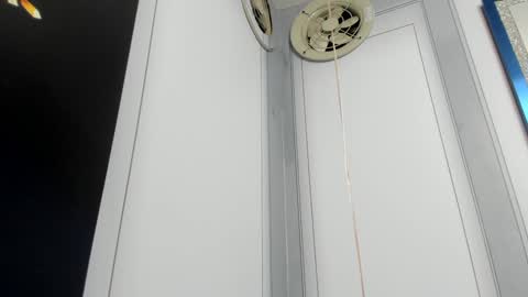 Camila  online show from December 2024 10:11:02 AM